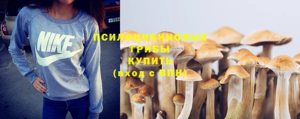 ALPHA-PVP Пересвет