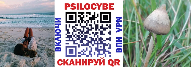 Купить  Рославль  Галлюциногенные грибы Magic Shrooms 